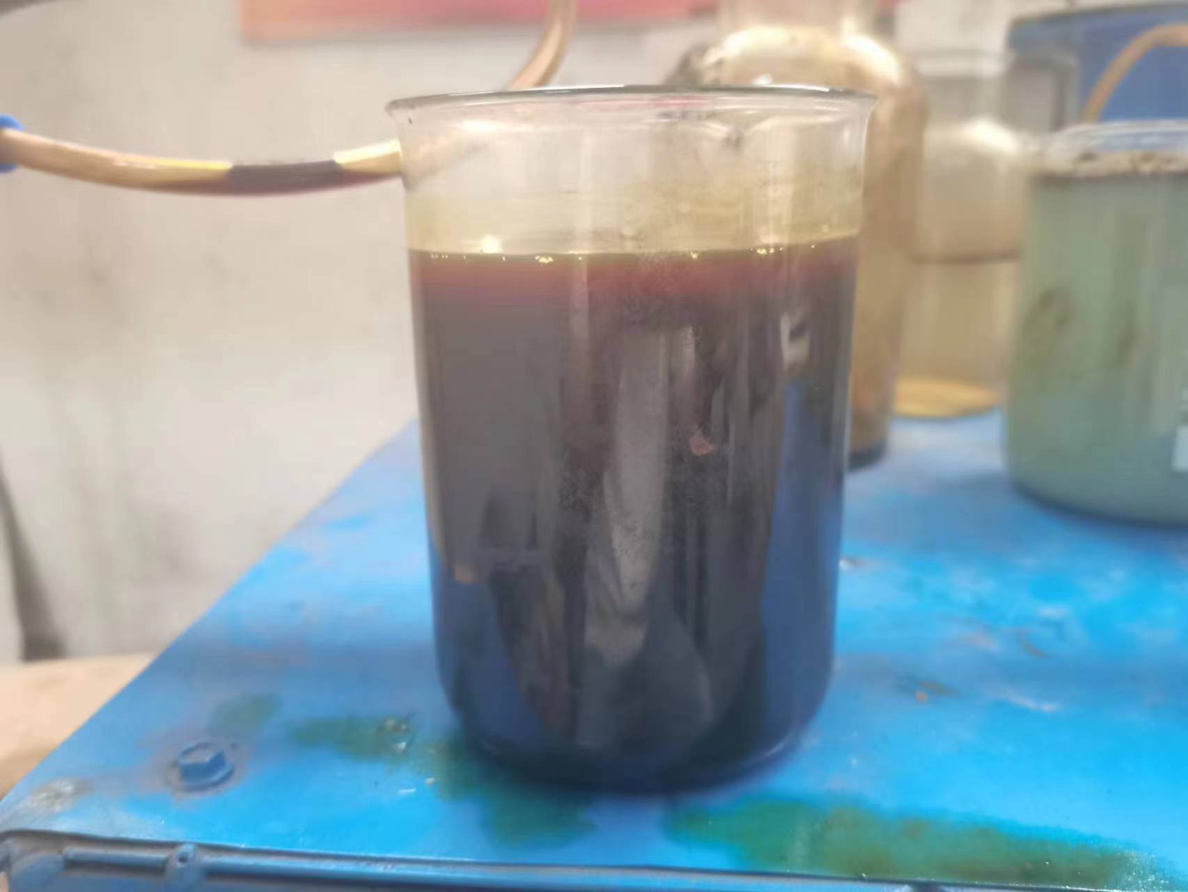 mmexport1744157831672 mmexport1744157831672