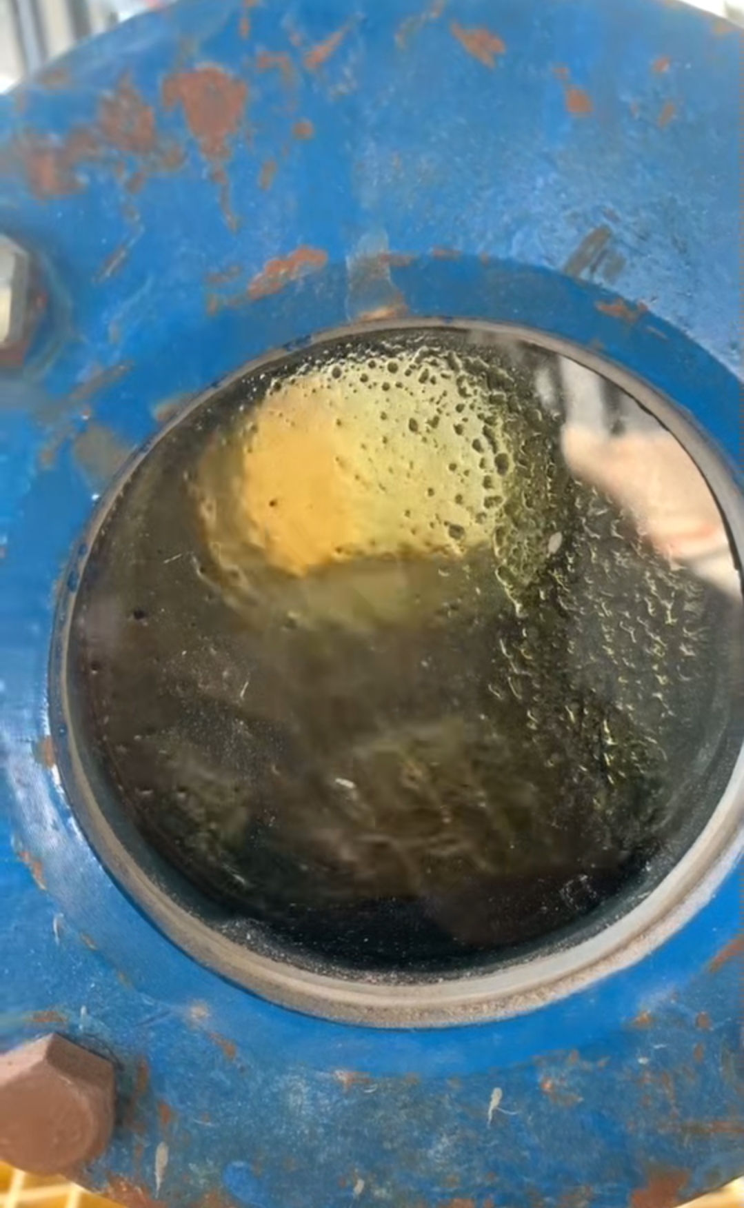 Screenshot_2026-02-05-10-06-25-36_99c04817c0de565